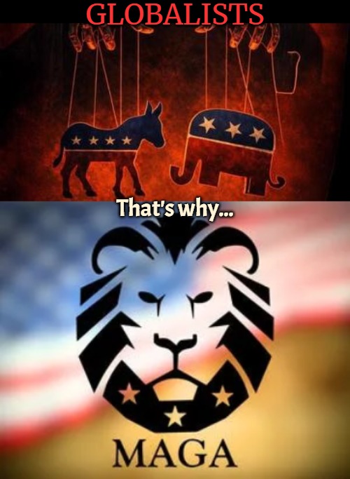The third party. Every country needs its own version. UK's Conservative and Liberal parties are tanking unprecedentedly | GLOBALISTS; That's why... | image tagged in maga,globalism,politics | made w/ Imgflip meme maker