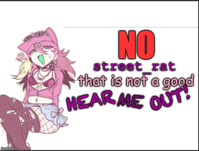 NO STREET RAT | image tagged in no street rat | made w/ Imgflip meme maker