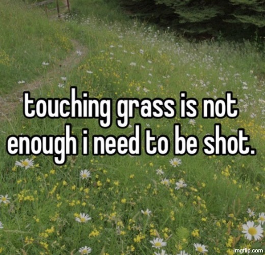 touching grass is not enough | image tagged in touching grass is not enough | made w/ Imgflip meme maker