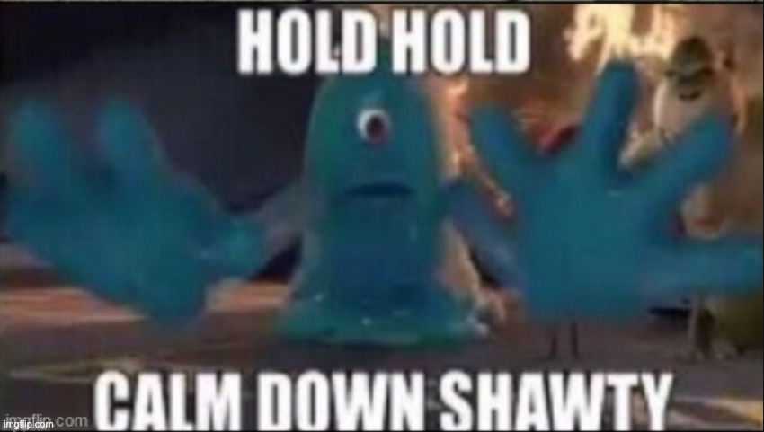 HOLD HOLD CALM DOWN SHAWTY | image tagged in hold hold calm down shawty | made w/ Imgflip meme maker