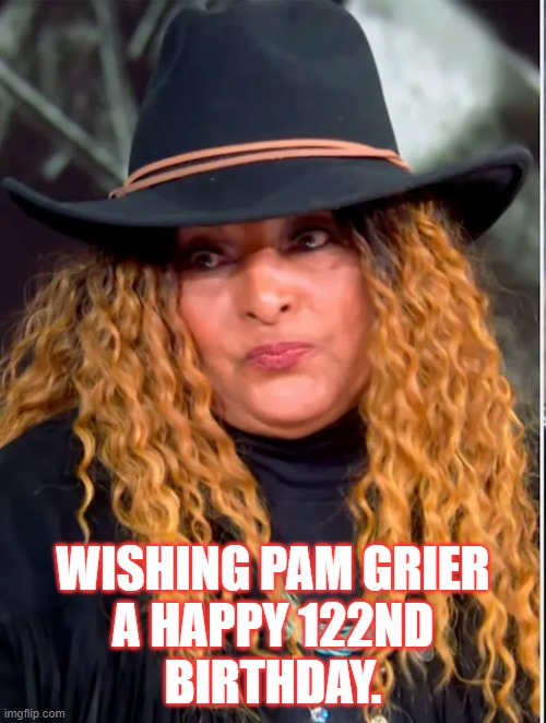 Pam Grier | WISHING PAM GRIER
A HAPPY 122ND
BIRTHDAY. | image tagged in pam grier,egregious liar,iykyk | made w/ Imgflip meme maker