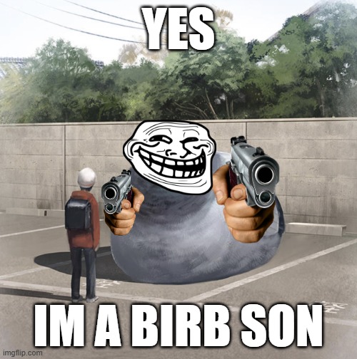 Birb | YES; IM A BIRB SON | image tagged in beeg birb | made w/ Imgflip meme maker