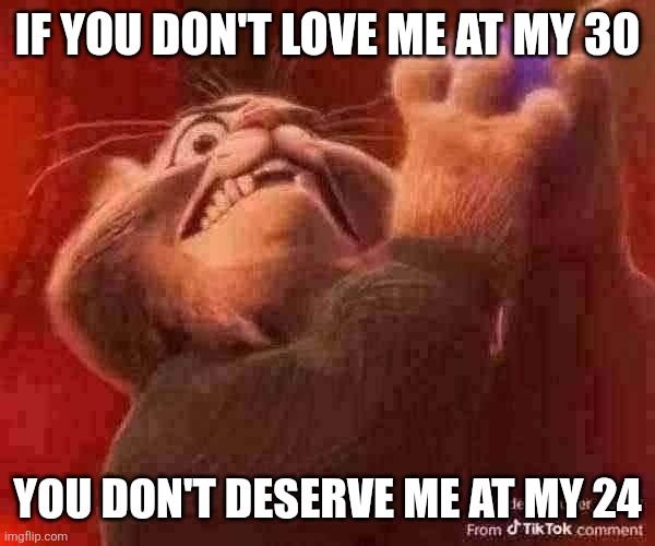 IF YOU DON'T LOVE ME AT MY 30; YOU DON'T DESERVE ME AT MY 24 | made w/ Imgflip meme maker