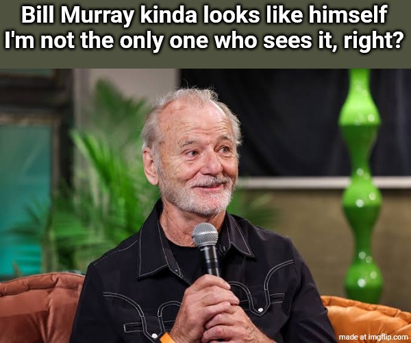 Bill Murray kinda looks like himself I'm not the only one who sees it, right? | made w/ Imgflip meme maker