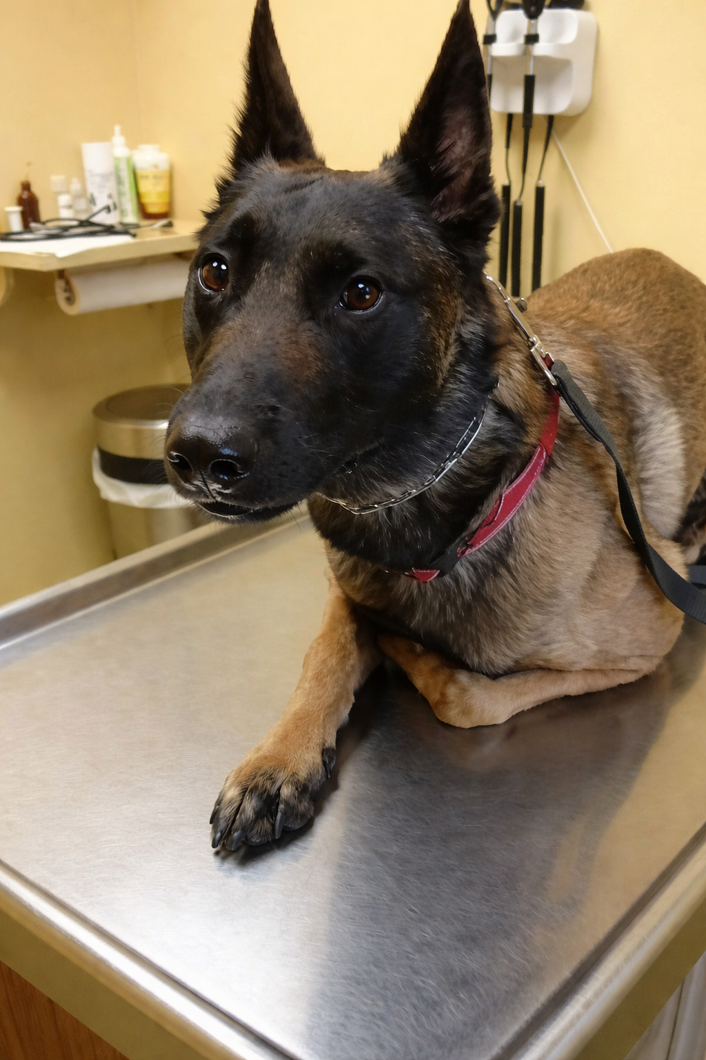 Chrisjoines1 Blank Meme Template