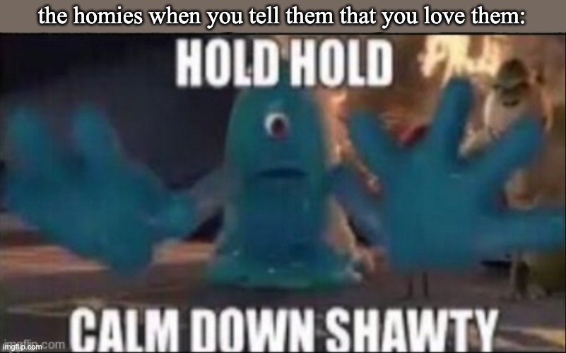 HOLD HOLD CALM DOWN SHAWTY | the homies when you tell them that you love them: | image tagged in hold hold calm down shawty | made w/ Imgflip meme maker