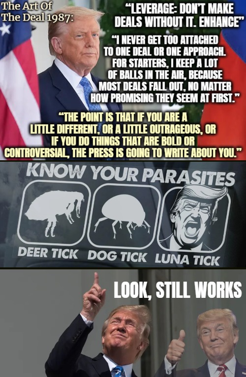 TDS is an important strategy, and the U.S is famously all about image | LOOK, STILL WORKS | image tagged in donald trump,politics,trump derangement syndrome | made w/ Imgflip meme maker