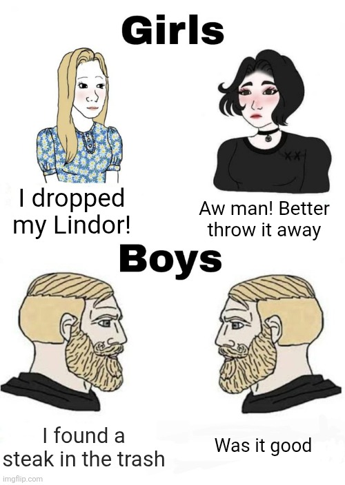 idk what I'm doing lol | I dropped my Lindor! Aw man! Better throw it away; I found a steak in the trash; Was it good | image tagged in boys v girls,steak,girls,boys,food,idk | made w/ Imgflip meme maker