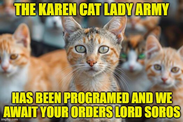 THE KAREN CAT LADY ARMY HAS BEEN PROGRAMED AND WE AWAIT YOUR ORDERS LORD SOROS | made w/ Imgflip meme maker