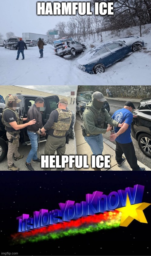 Thank you ICE!  Patriots appreciate all you're doing to protect the USA! | HARMFUL ICE; HELPFUL ICE | image tagged in the more you know,illegal immigration,ice storm,winter | made w/ Imgflip meme maker