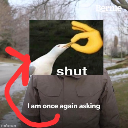 Bernie I Am Once Again Asking For Your Support Meme | image tagged in memes,bernie i am once again asking for your support | made w/ Imgflip meme maker