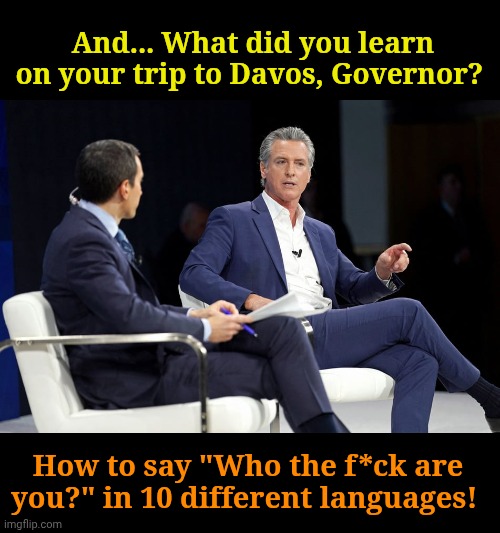 Taxpayer $$$ well spent!!! | And... What did you learn on your trip to Davos, Governor? How to say "Who the f*ck are you?" in 10 different languages! | made w/ Imgflip meme maker