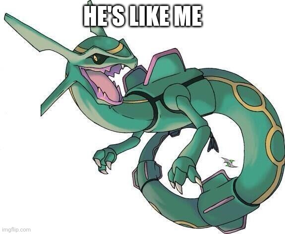 HE'S LIKE ME | image tagged in bad joke rayquaza | made w/ Imgflip meme maker