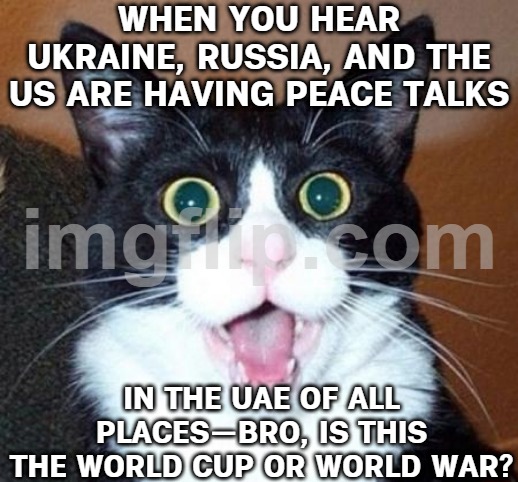 WHEN YOU FIND OUT THE PEACE TALKS ARE IN THE UAE; AND YOU REALIZE IT’S JUST ANOTHER DESERT STORM REUNION | WHEN YOU HEAR UKRAINE, RUSSIA, AND THE US ARE HAVING PEACE TALKS; IN THE UAE OF ALL PLACES—BRO, IS THIS THE WORLD CUP OR WORLD WAR? | image tagged in surprised cat lol,world war 3,world cup,russo-ukrainian war,donald trump,vladimir putin | made w/ Imgflip meme maker