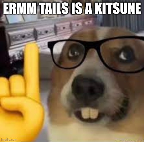 nerd dog | ERMM TAILS IS A KITSUNE | image tagged in nerd dog | made w/ Imgflip meme maker