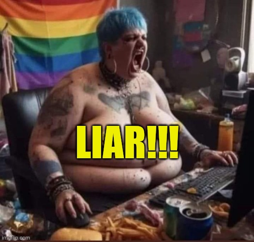 Blue Haired He/She | LIAR!!! | image tagged in blue haired he/she | made w/ Imgflip meme maker
