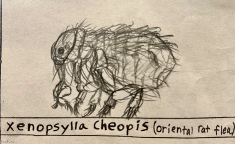 I draweded a flea :D (mf killed half of Europe once btw) | made w/ Imgflip meme maker