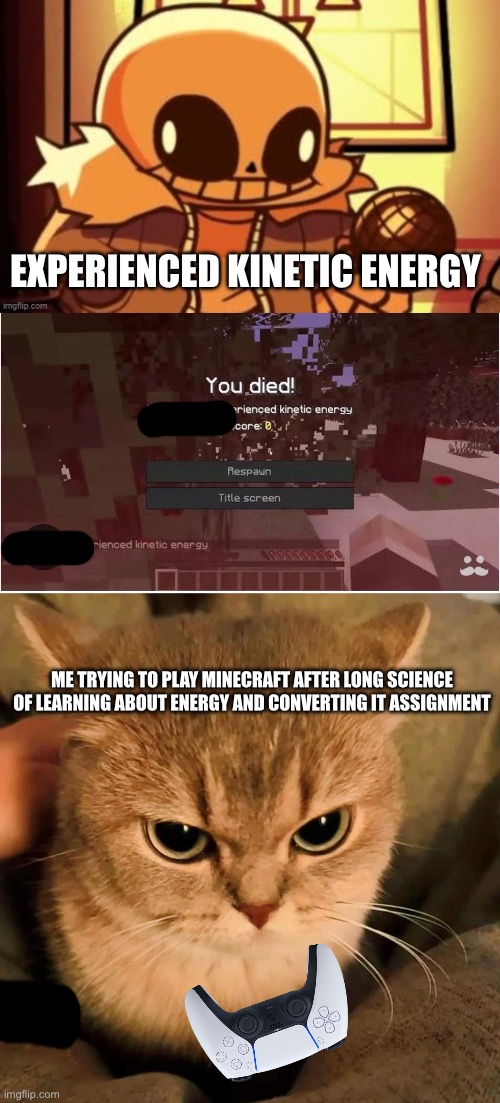 ME TRYING TO PLAY MINECRAFT AFTER LONG SCIENCE OF LEARNING ABOUT ENERGY AND CONVERTING IT ASSIGNMENT EXPERIENCED KINETIC ENERGY | image tagged in goofy ahh snas,angry cat | made w/ Imgflip meme maker