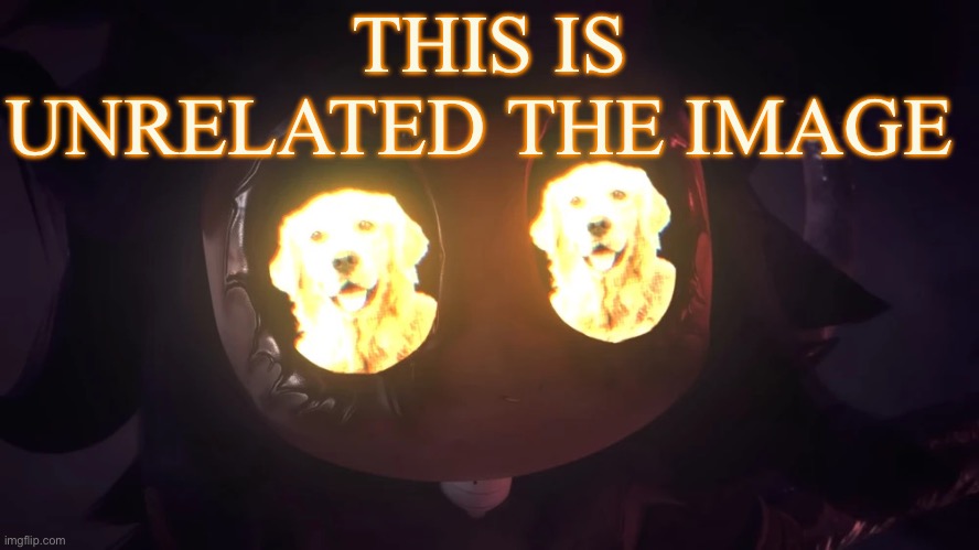 Doggy eyes :3 | THIS IS UNRELATED THE IMAGE | image tagged in doggy eyes 3 | made w/ Imgflip meme maker