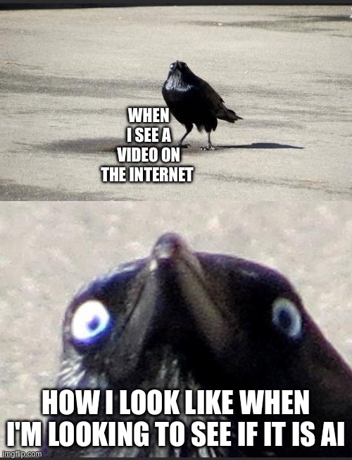 insanity crow | WHEN I SEE A VIDEO ON THE INTERNET; HOW I LOOK LIKE WHEN I'M LOOKING TO SEE IF IT IS AI | image tagged in insanity crow | made w/ Imgflip meme maker