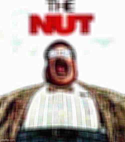 The nut | image tagged in the nut | made w/ Imgflip meme maker