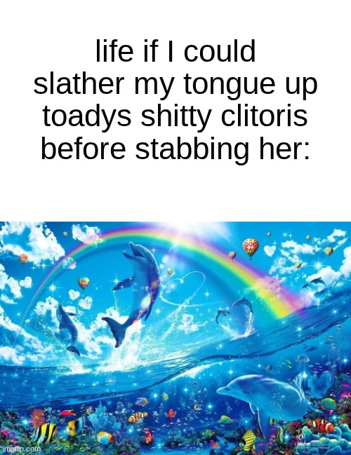 I FUCKING HATE YOU TOADY | life if I could slather my tongue up toadys shitty clitoris before stabbing her: | image tagged in dolphin jumping with rainbow | made w/ Imgflip meme maker