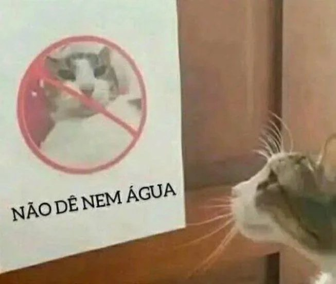 Don't give water Blank Meme Template