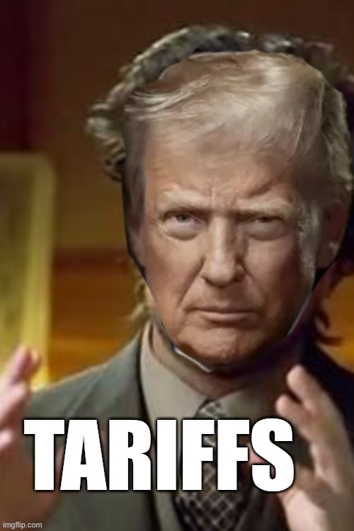 Great Strategy Guy | TARIFFS | image tagged in donald trump,donald trump approves | made w/ Imgflip meme maker