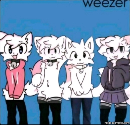 Boykisser weezer | image tagged in boykisser weezer | made w/ Imgflip meme maker