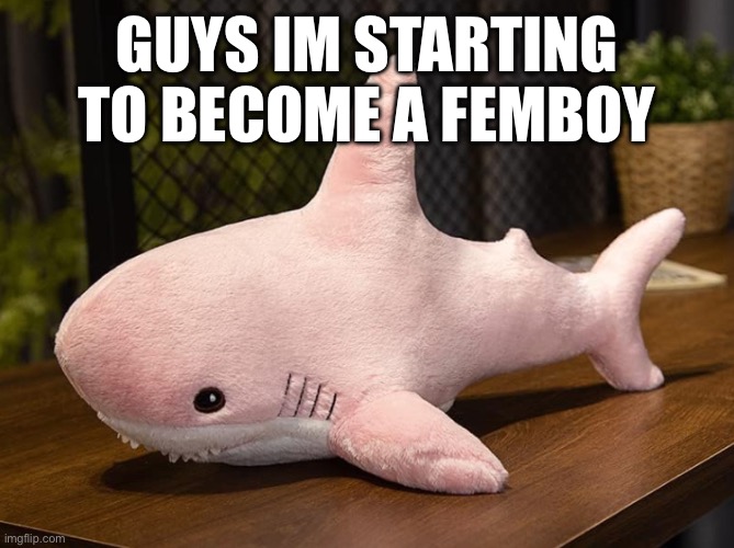 AHHHHH | GUYS IM STARTING TO BECOME A FEMBOY | image tagged in funny,idk,stuff | made w/ Imgflip meme maker