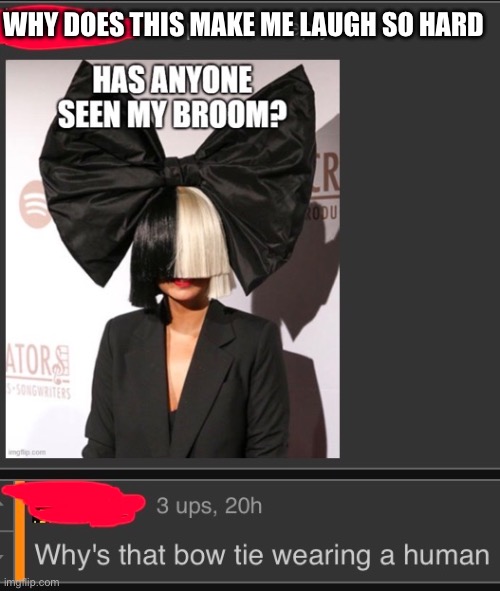 This was in flick7’s “goth broom” meme | WHY DOES THIS MAKE ME LAUGH SO HARD | image tagged in goth,bow | made w/ Imgflip meme maker