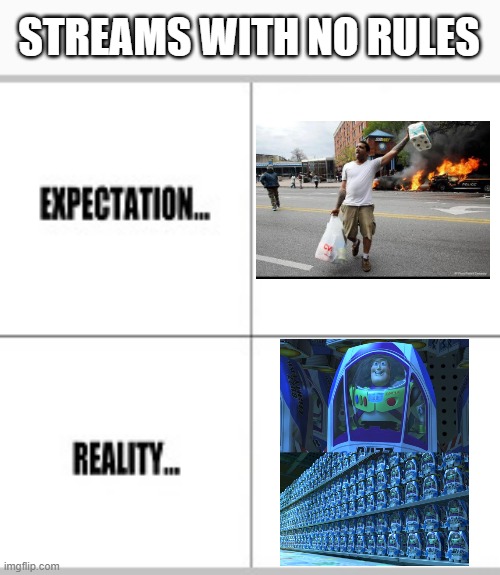 They are all just full of the same spam | STREAMS WITH NO RULES | image tagged in expectation vs reality,memes,funny,streams,imgflip | made w/ Imgflip meme maker