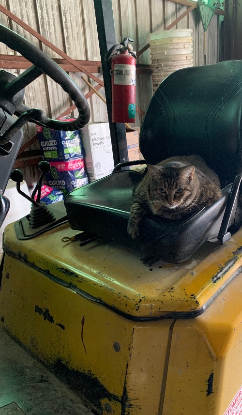 He is forklift certified | made w/ Imgflip meme maker