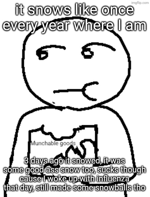 Munchable goods | it snows like once every year where I am; 3 days ago it snowed, it was some good ass snow too, sucks though cause I woke up with influenza that day, still made some snowballs tho | image tagged in munchable goods | made w/ Imgflip meme maker