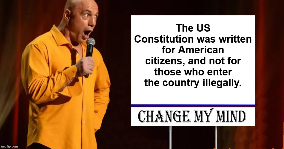 The US Constitution was written for American citizens, and not for those who enter the country illegally. | made w/ Imgflip meme maker
