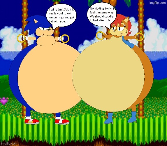 THP Sonic fat (Why did I do this) | image tagged in thp sonic fat why did i do this | made w/ Imgflip meme maker