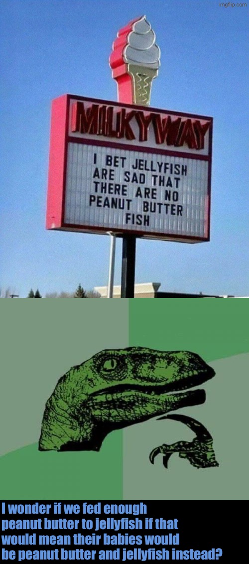 Here's An Idea | I wonder if we fed enough peanut butter to jellyfish if that would mean their babies would be peanut butter and jellyfish instead? | image tagged in philosoraptor,i wonder,peanut butter,jelly,jellyfish,funny signs | made w/ Imgflip meme maker