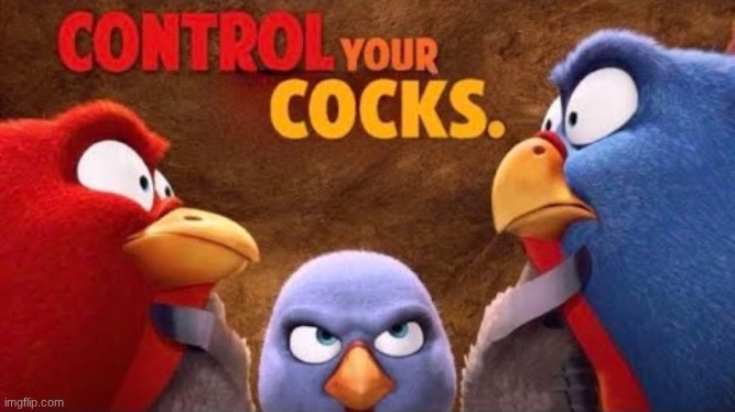 Control Your Cocks | image tagged in control your cocks | made w/ Imgflip meme maker