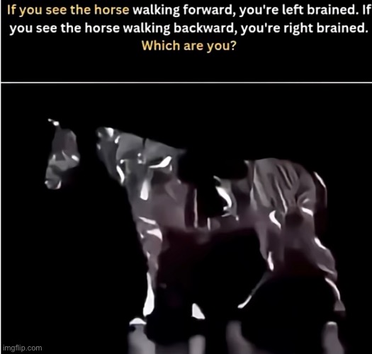 Brain test. | image tagged in memes | made w/ Imgflip meme maker