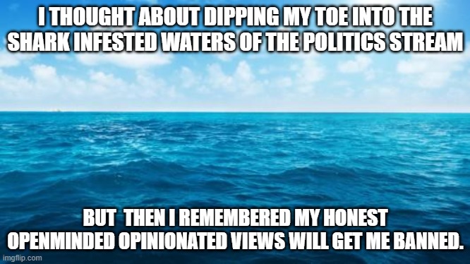 Ocean | I THOUGHT ABOUT DIPPING MY TOE INTO THE SHARK INFESTED WATERS OF THE POLITICS STREAM; BUT  THEN I REMEMBERED MY HONEST OPENMINDED OPINIONATED VIEWS WILL GET ME BANNED. | image tagged in ocean,opinion,sharks,banned,views,honest | made w/ Imgflip meme maker