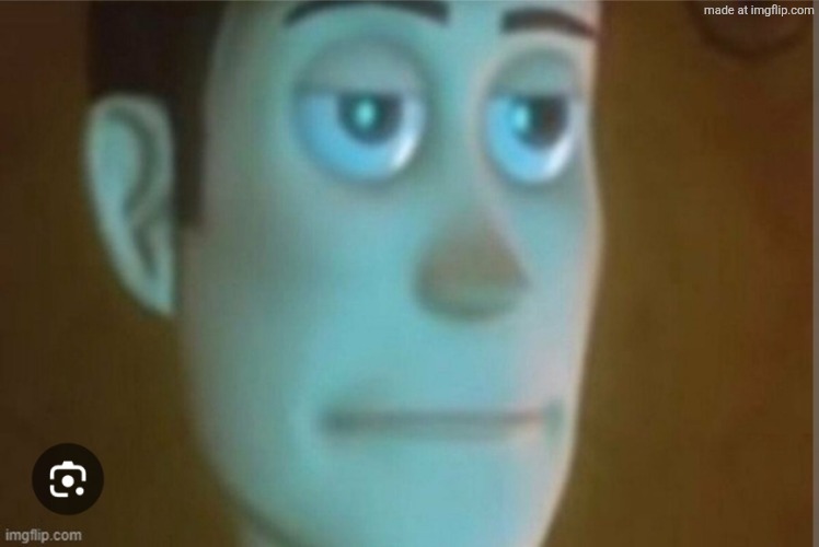 Straight face woody | image tagged in straight face woody | made w/ Imgflip meme maker