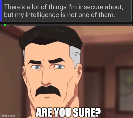 ARE YOU SURE? | image tagged in are you sure omni man | made w/ Imgflip meme maker