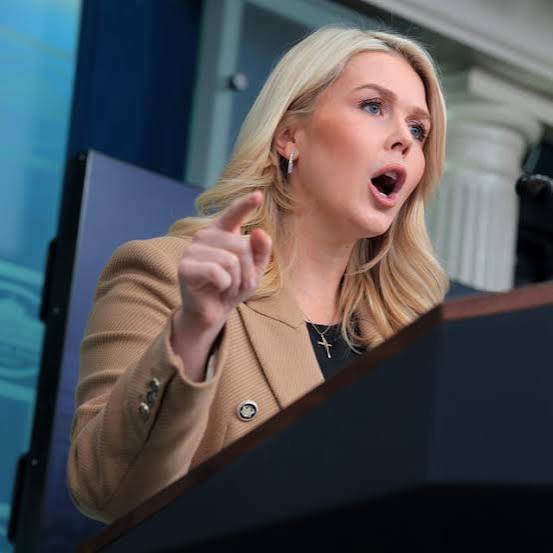 Karoline Leavitt Is A Dumbass Blank Meme Template