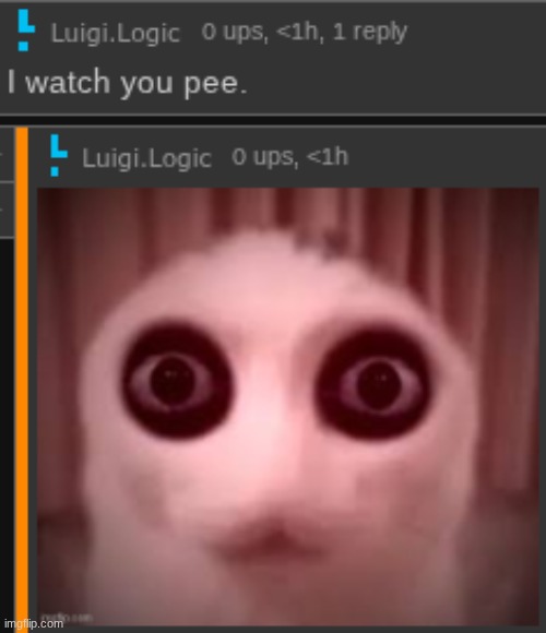 goon night gng | image tagged in i watch you pee | made w/ Imgflip meme maker