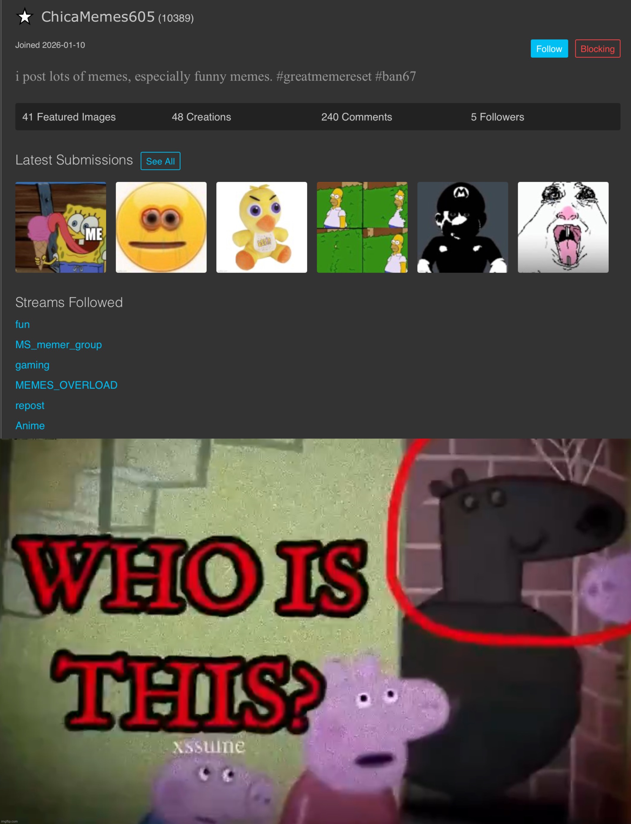 where did this fun streamer even come from | image tagged in who is this | made w/ Imgflip meme maker