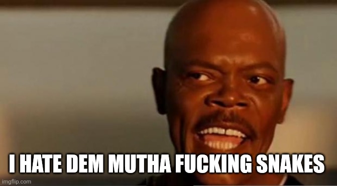 Snakes on the Plane Samuel L Jackson | I HATE DEM MUTHA FUCKING SNAKES | image tagged in snakes on the plane samuel l jackson | made w/ Imgflip meme maker