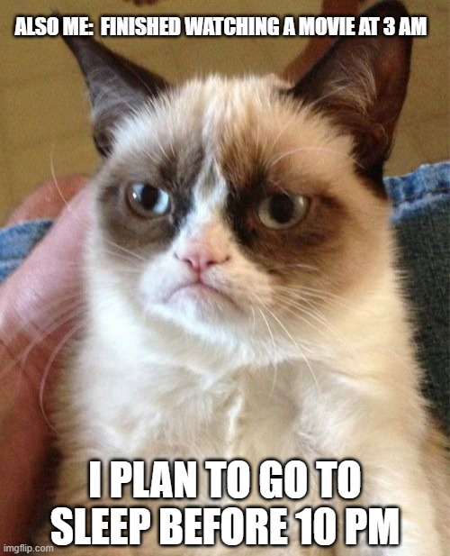 Grumpy Cat | ALSO ME:  FINISHED WATCHING A MOVIE AT 3 AM; I PLAN TO GO TO SLEEP BEFORE 10 PM | image tagged in memes,grumpy cat,funny,funny memes | made w/ Imgflip meme maker