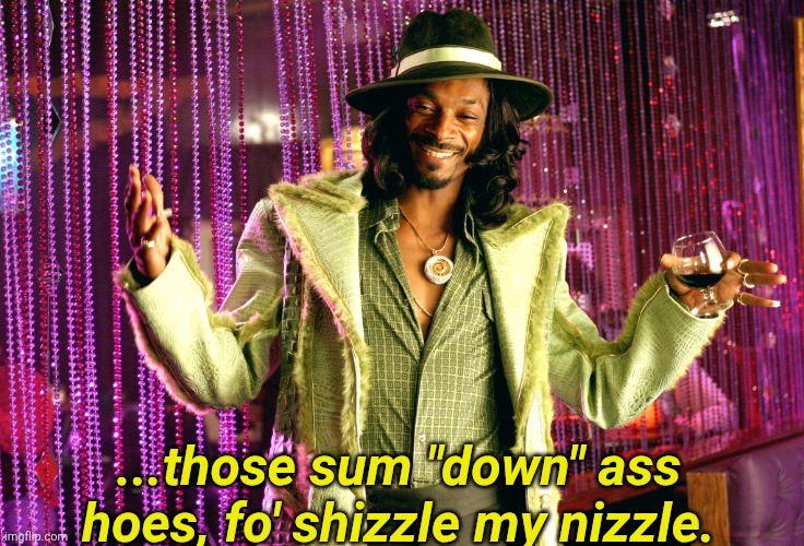 Pimp snoop dog | ...those sum "down" ass hoes, fo' shizzle my nizzle. | image tagged in pimp snoop dog | made w/ Imgflip meme maker