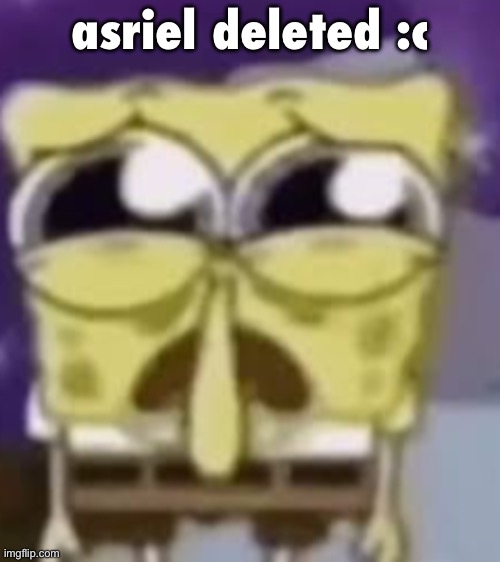 he was a rlly cool user too, i hope he’s ok | asriel deleted :c | image tagged in the skrunkly bunky | made w/ Imgflip meme maker