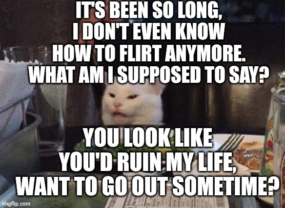 Smudge that darn cat | IT'S BEEN SO LONG, I DON'T EVEN KNOW HOW TO FLIRT ANYMORE. WHAT AM I SUPPOSED TO SAY? YOU LOOK LIKE YOU'D RUIN MY LIFE, WANT TO GO OUT SOMETIME? | image tagged in smudge that darn cat | made w/ Imgflip meme maker